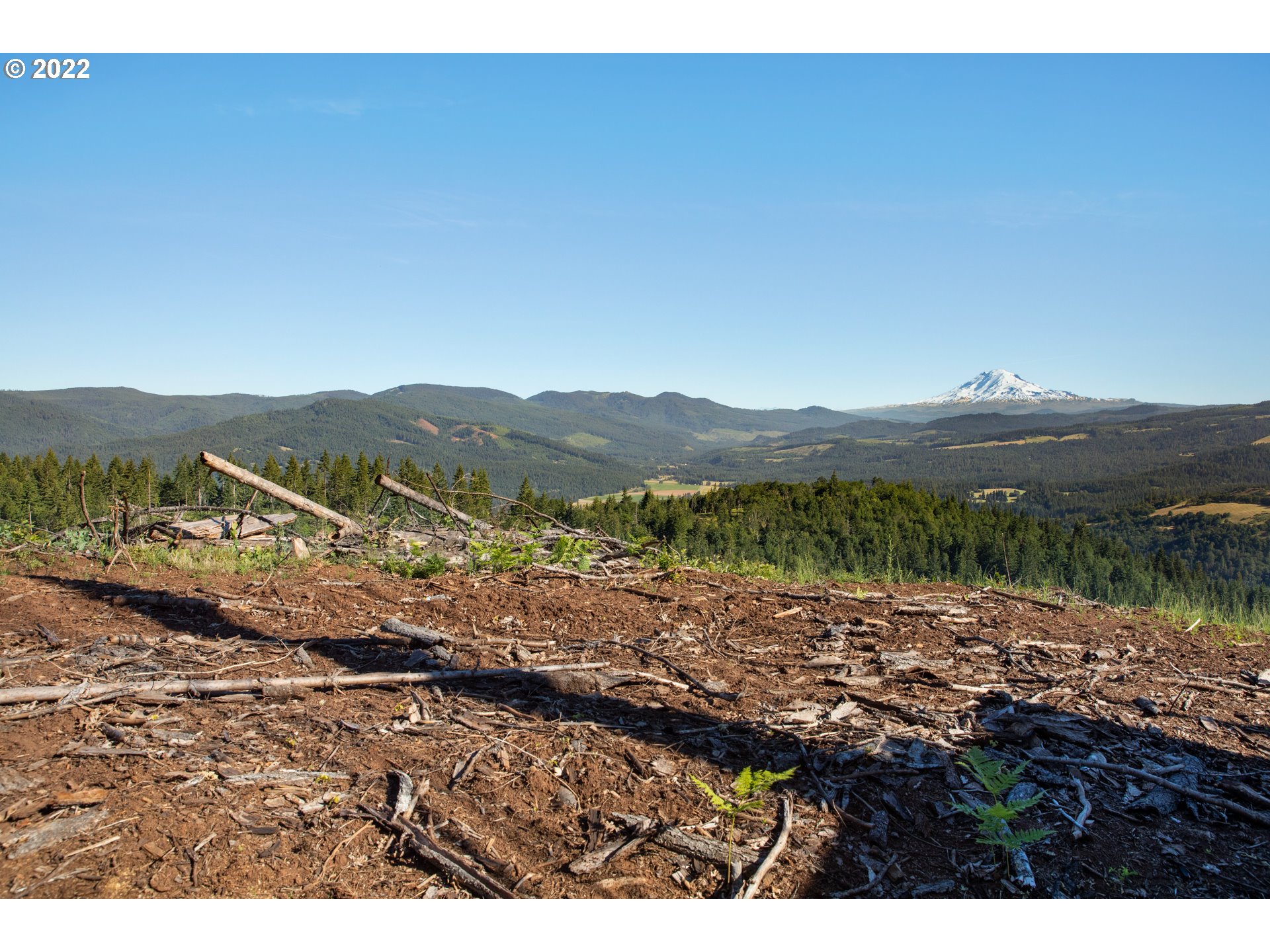 Snowden White Salmon, WA 98672 - Photo 5 of 18 a view of a mountain with a forest