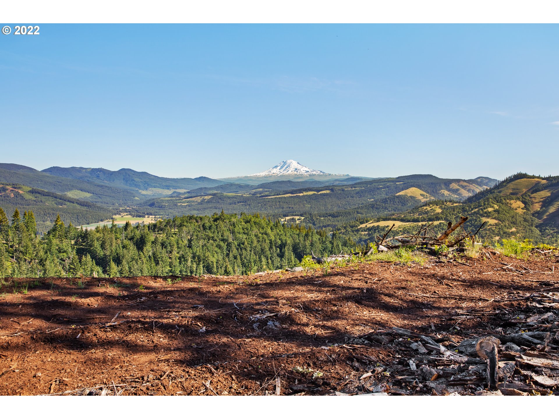 Snowden White Salmon, WA 98672 - Photo 6 of 18 a view of a backyard with a sink