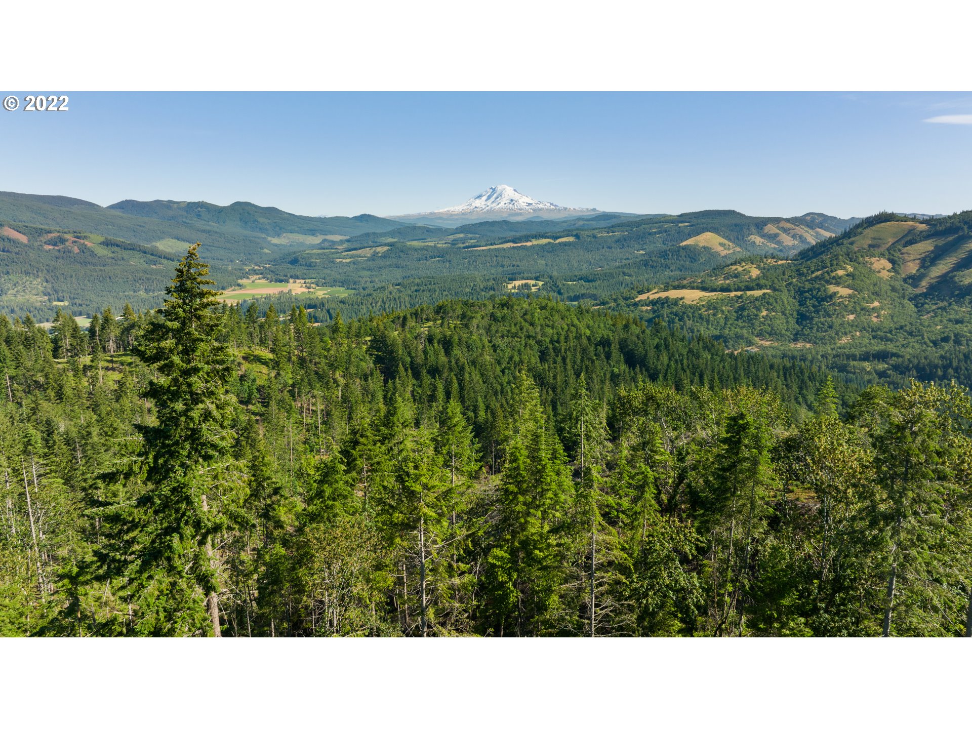 Snowden White Salmon, WA 98672 - Photo 8 of 18 a black and white photo of a mountain