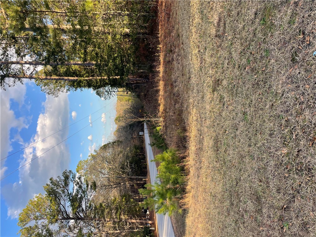 0 Beaver Trail Iva, SC 29655 - Photo 2 of 6