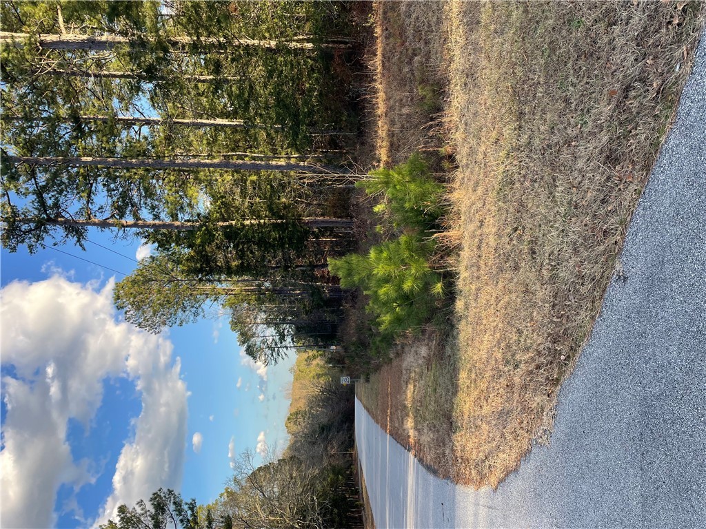 0 Beaver Trail Iva, SC 29655 - Photo 3 of 6