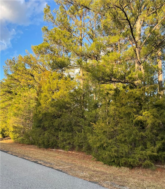 0 Beaver Trail Iva, SC 29655 - Photo 5 of 6