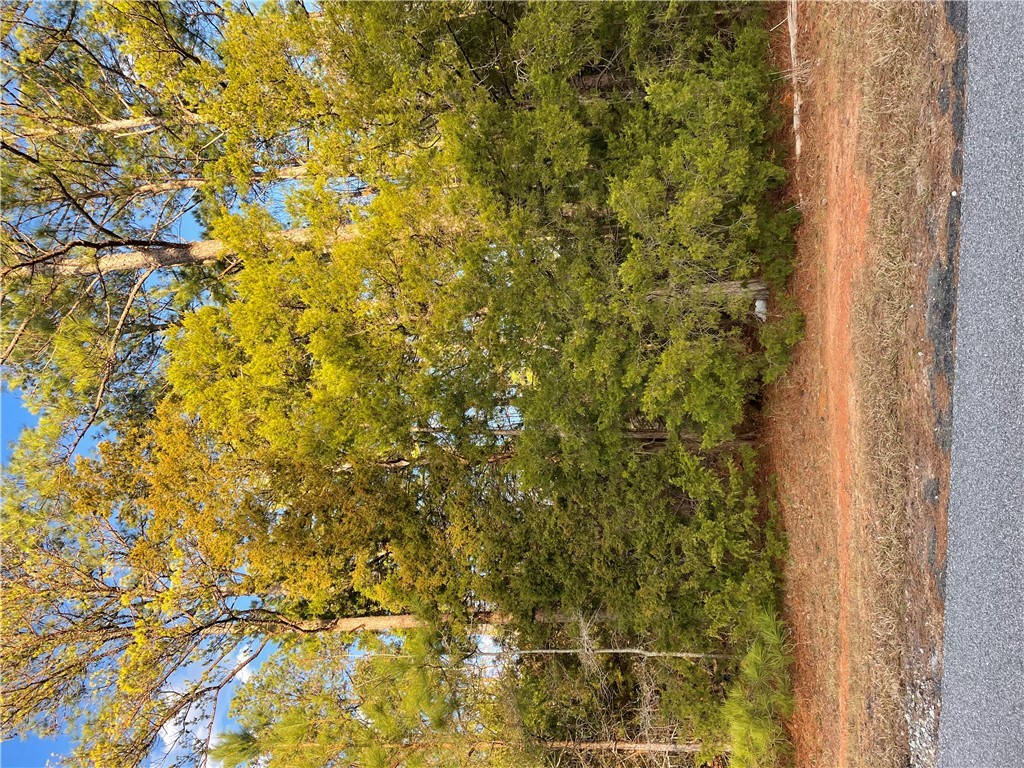 0 Beaver Trail Iva, SC 29655 - Photo 6 of 6