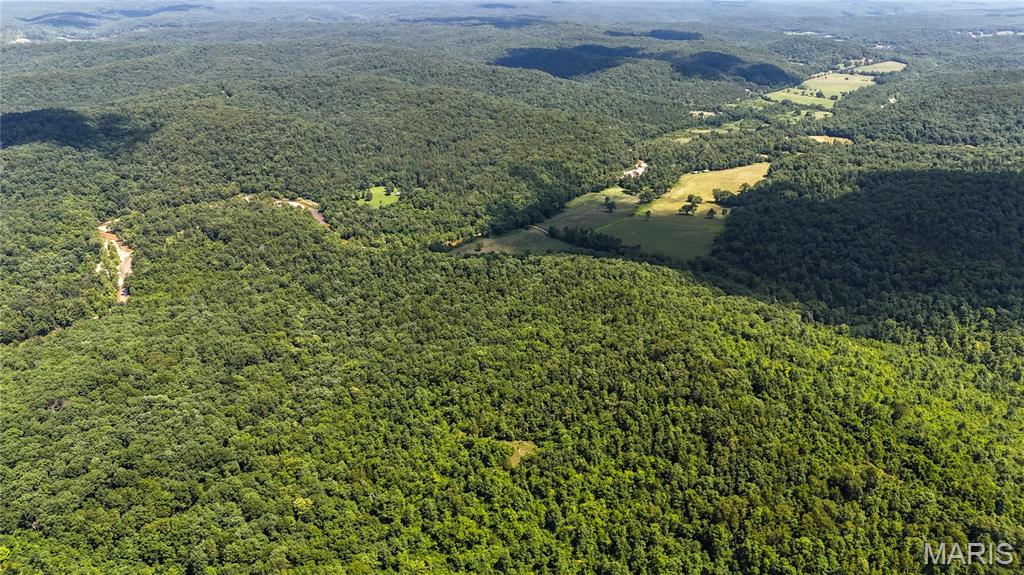 Tbd Tbd Antler Ridge Bunker, MO 63629 - Photo 2 of 26