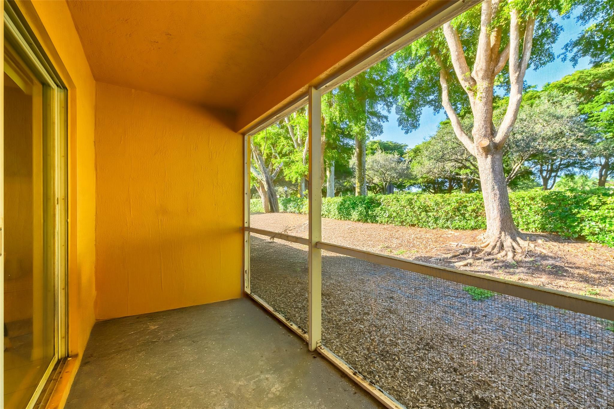 1665 Zenith Way Weston, FL 33327 - Photo 18 of 22 a view of a porch with a tree