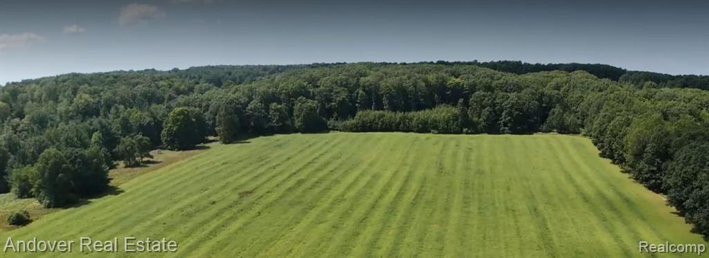 Leckrone Road Brethren, MI 49619 - Photo 1 of 8 Gallery Image 1