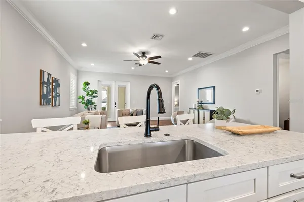 a kitchen with a sink and a potted plant