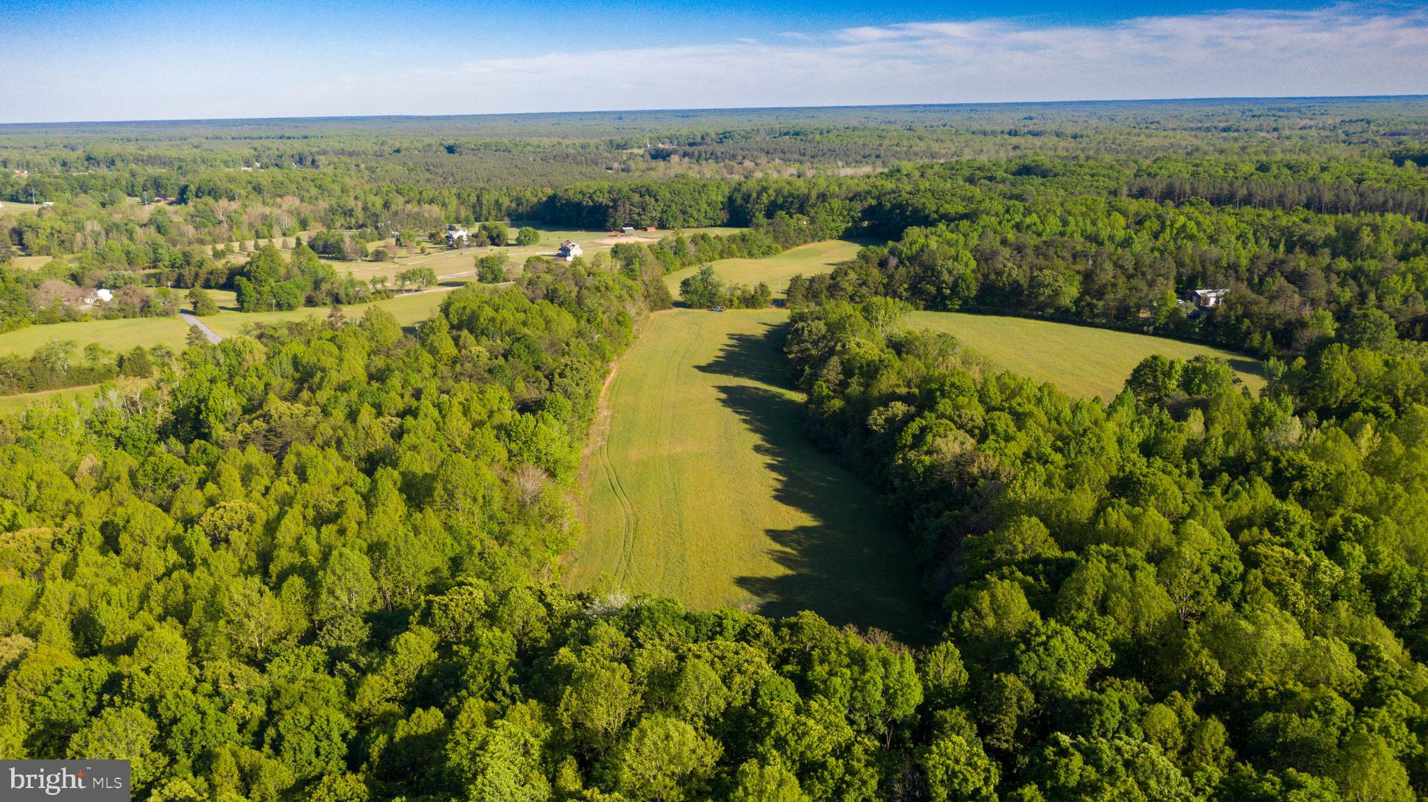 0 Trivette Road Beaverdam, VA 23015 - Photo 29 of 45
