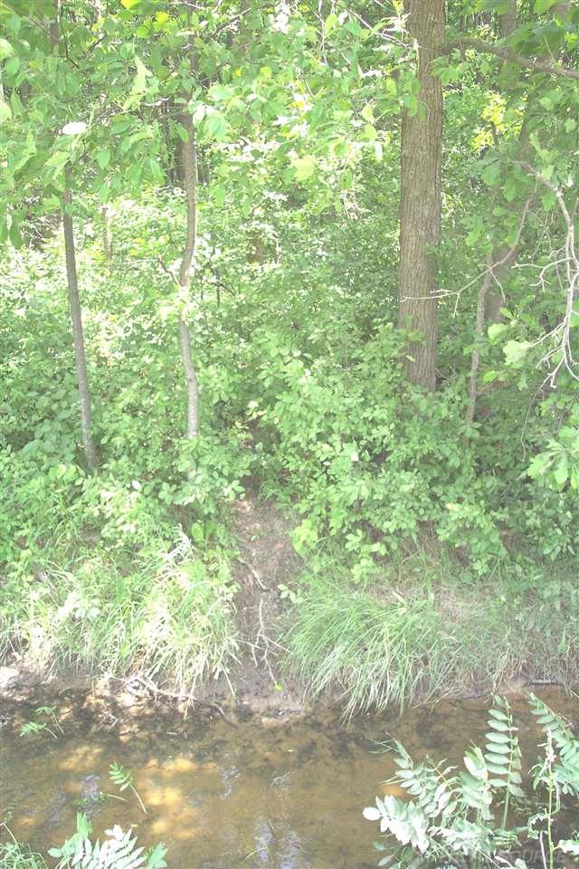 0 Kilgore Croswell, MI 48422 - Photo 8 of 9