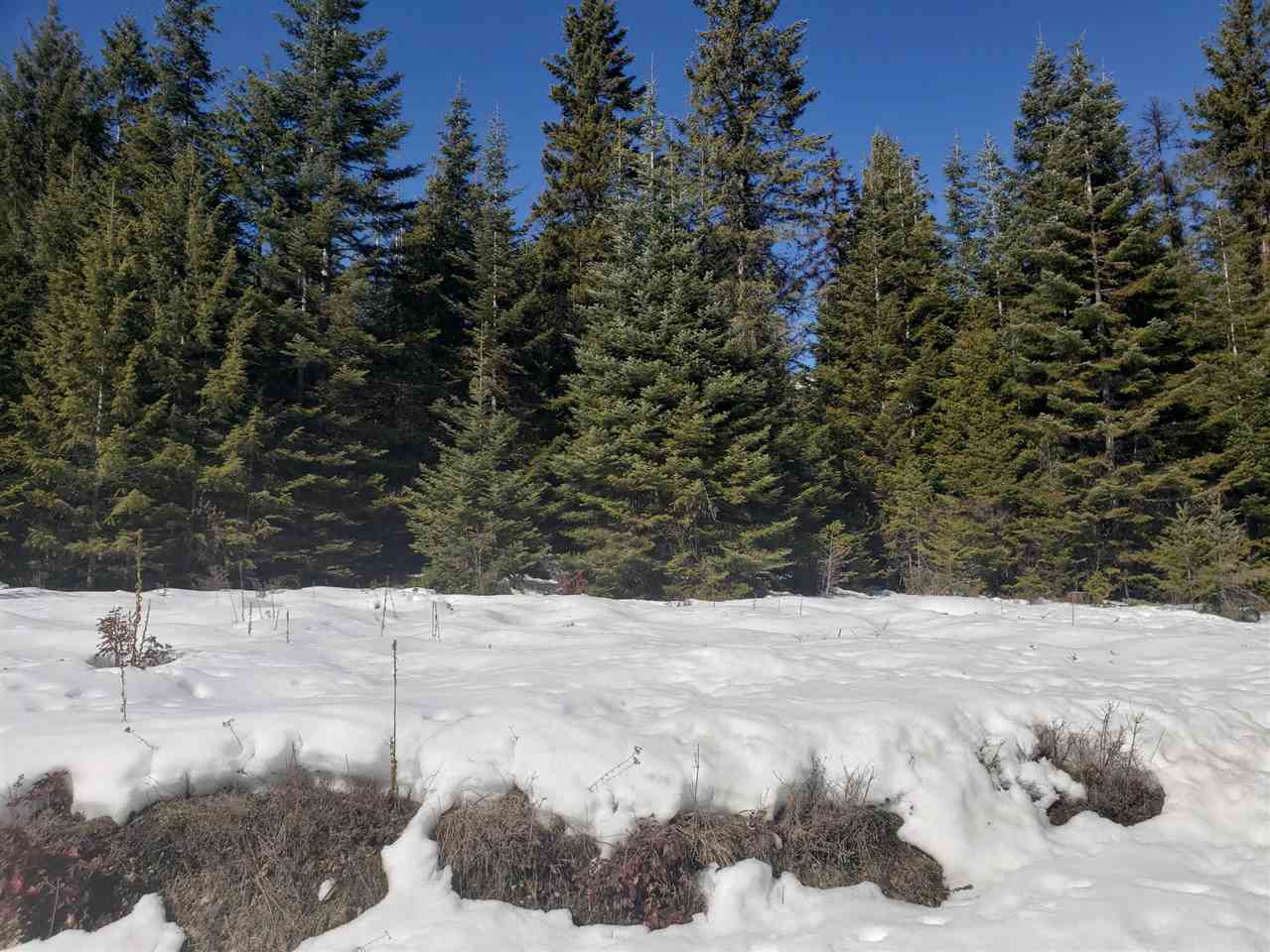 779 Dry Gulch Road Colville, WA 99114 - Photo 17 of 20