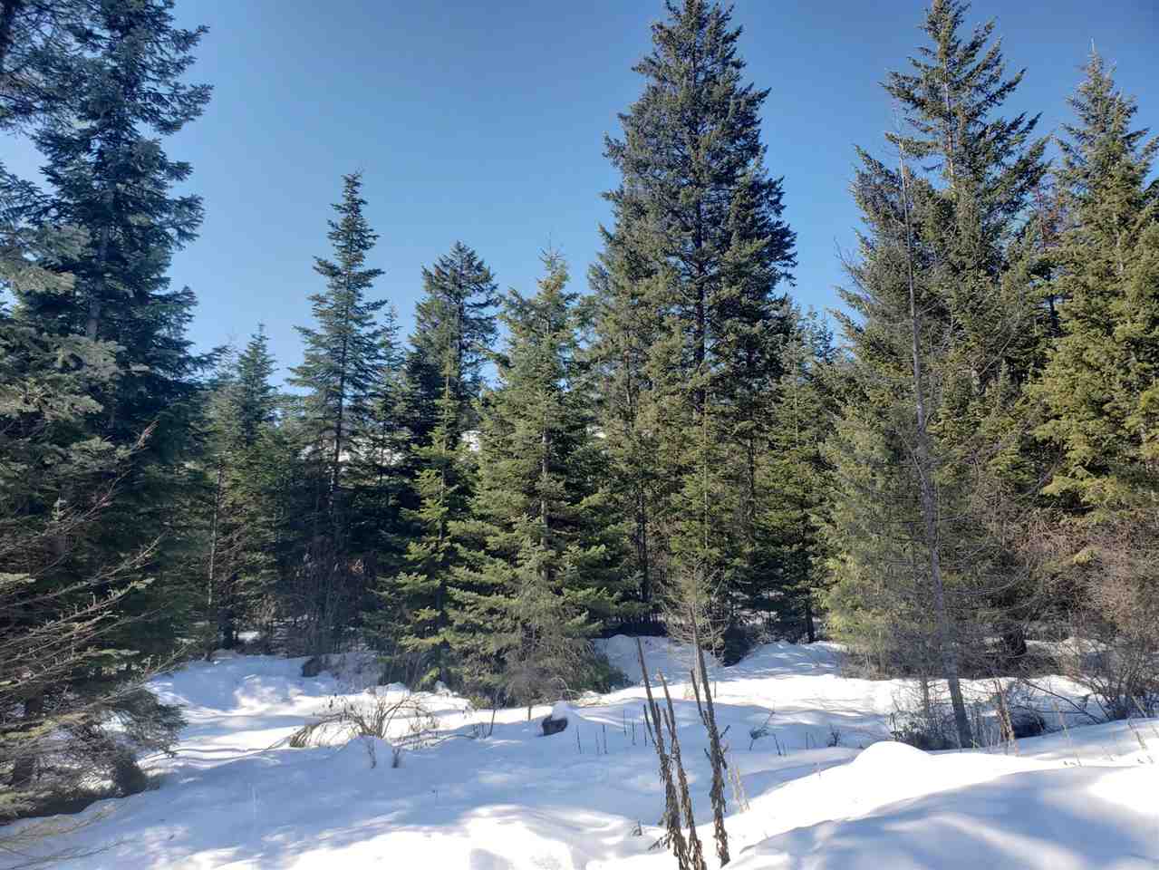 779 Dry Gulch Road Colville, WA 99114 - Photo 18 of 20