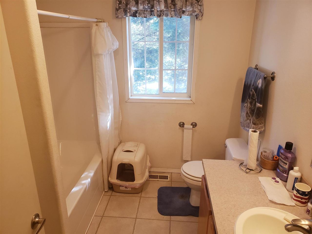 779 Dry Gulch Road Colville, WA 99114 - Photo 4 of 20