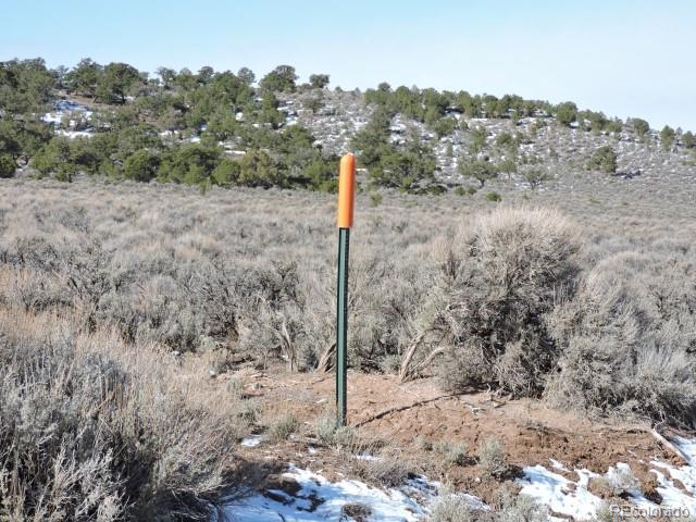 3483 Bixby Road Fort Garland, CO 81133 - Photo 10 of 12 a view of a road with a tree in the background