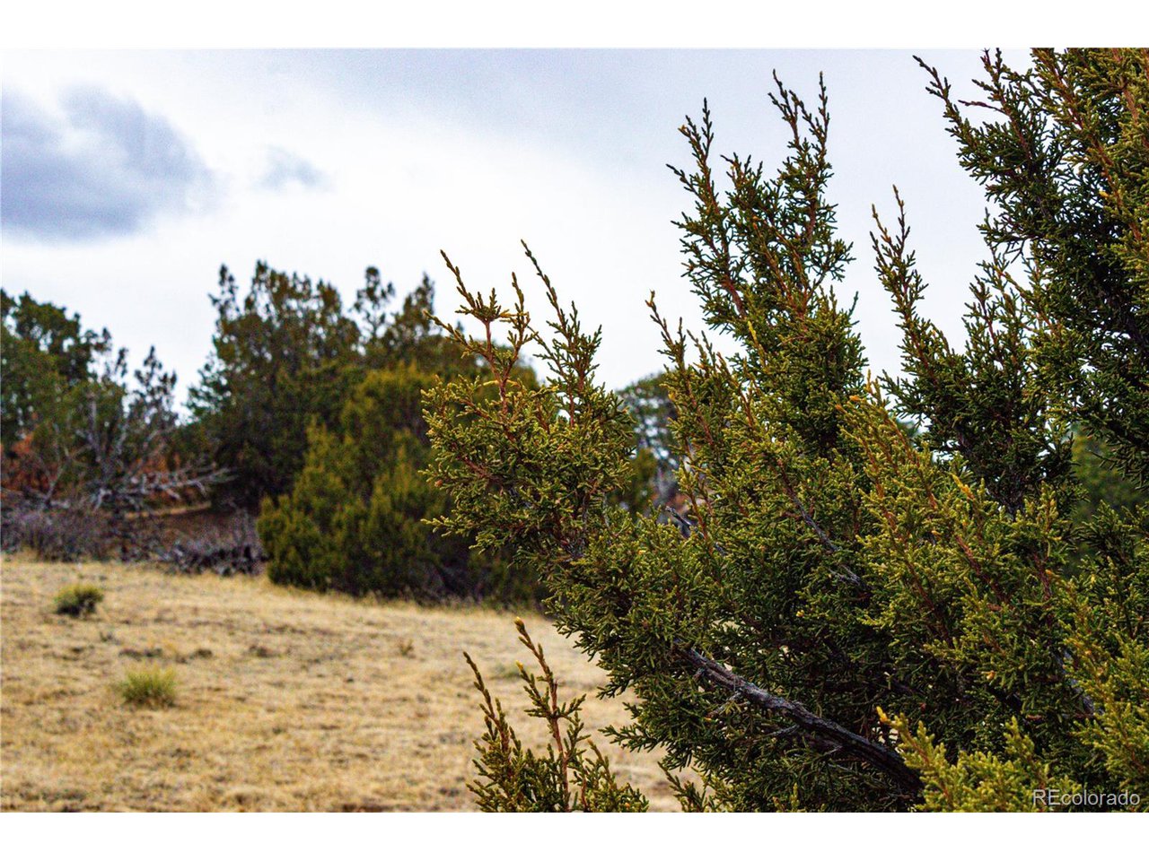 127 Twin Lakes Road Walsenburg, CO 81089 - Photo 23 of 40 Gallery Image 23