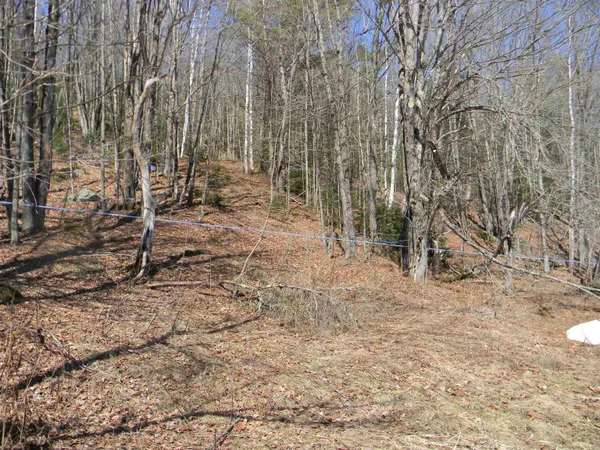 $79,900 | 58 Hollow Road, Unit M239 L021, Stratford, NH 03590
