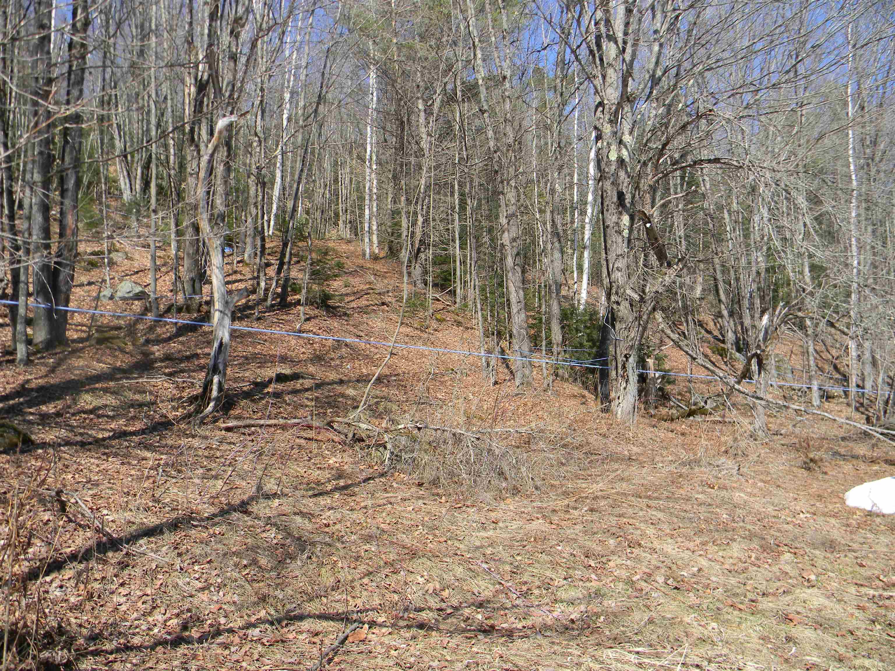 58 Hollow Road, Unit M239 L021 Stratford, NH 03590 - Photo 37 of 39