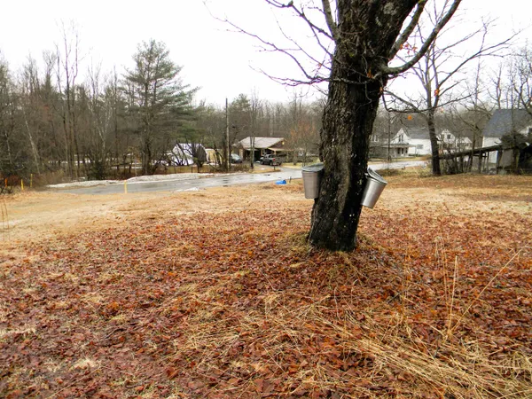 $79,900 | 58 Hollow Road, Unit M239 L021, Stratford, NH 03590