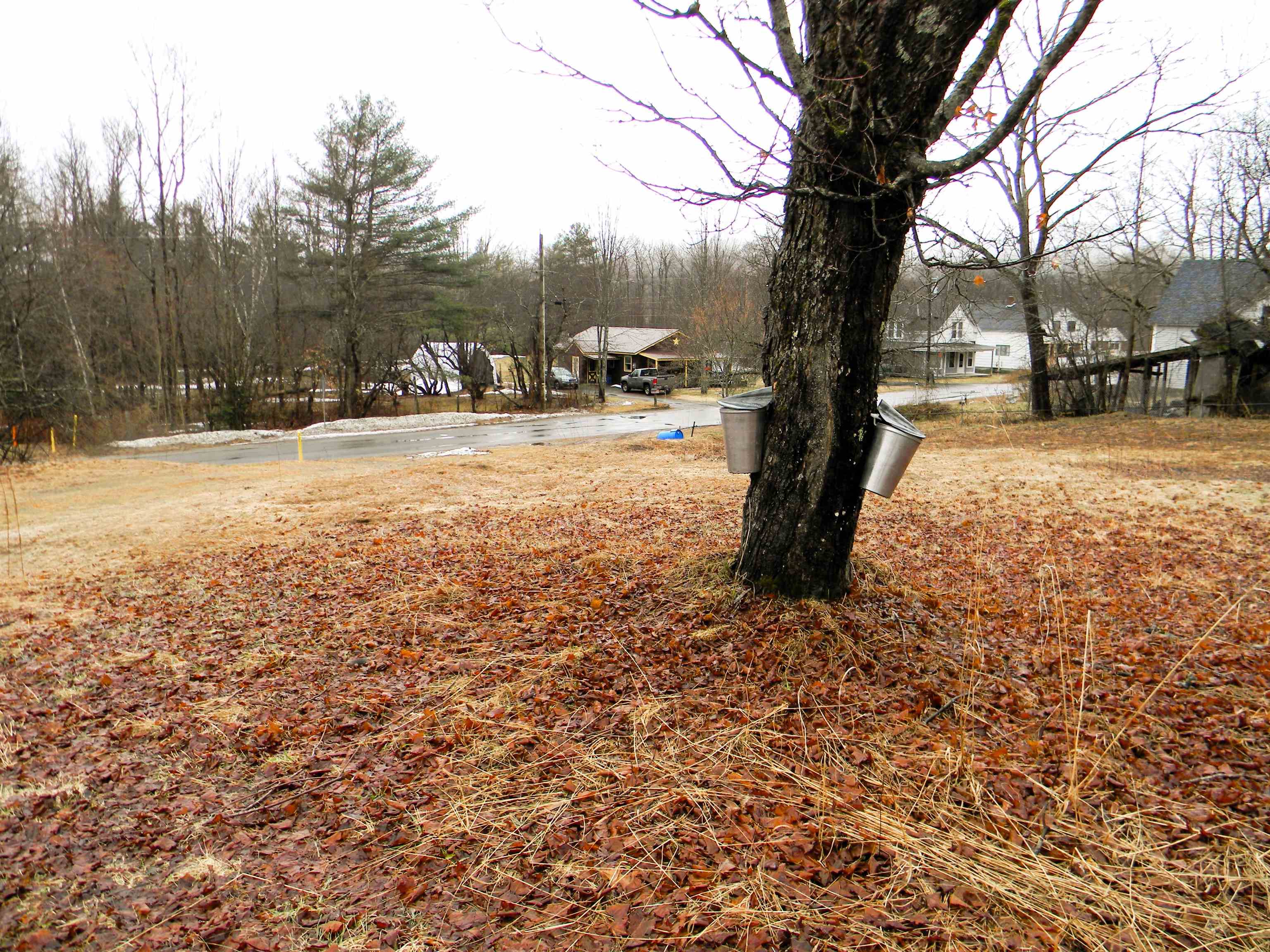 58 Hollow Road, Unit M239 L021 Stratford, NH 03590 - Photo 38 of 39