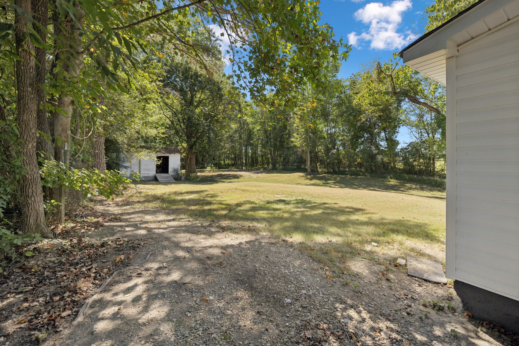 315 Ferguson Hill Road Lafayette, TN 37083 - Photo 29 of 29 a view of a outdoor space with trees