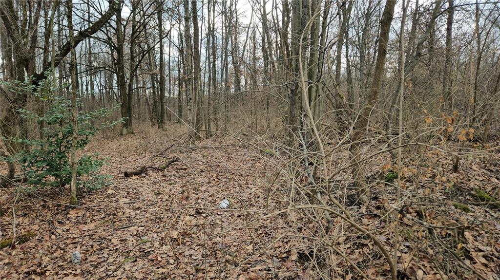 Lot #2 Deshon Road New Castle, PA 16101 - Photo 2 of 9 a view of lots of trees