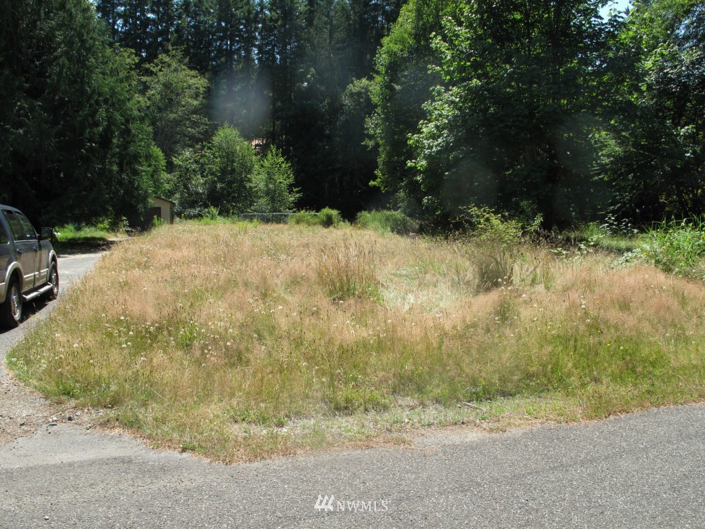 141 Northeast River Road Tahuya, WA 98588 - Photo 1 of 11 Gallery Image 1