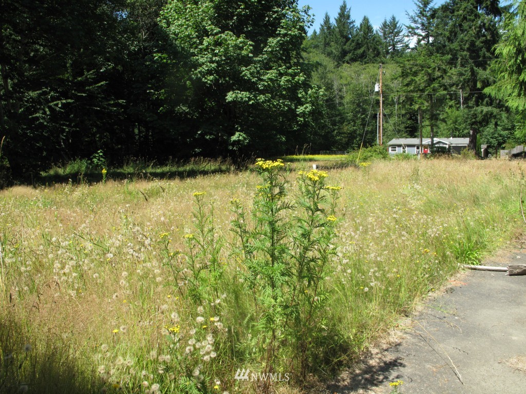 141 Northeast River Road Tahuya, WA 98588 - Photo 3 of 11 Gallery Image 3