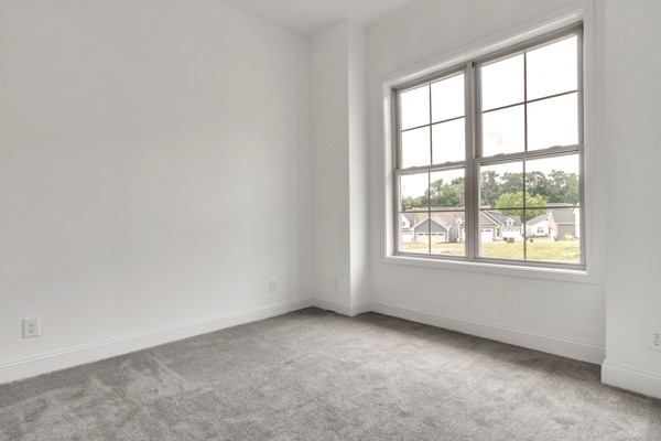 191 Charleston Avenue Pleasant View, TN 37146 - Photo 4 of 38