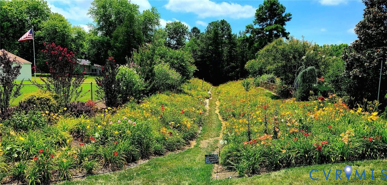 7387 Colts Neck Road Mechanicsville, VA 23111 - Photo 1 of 7 a view of a garden with plants