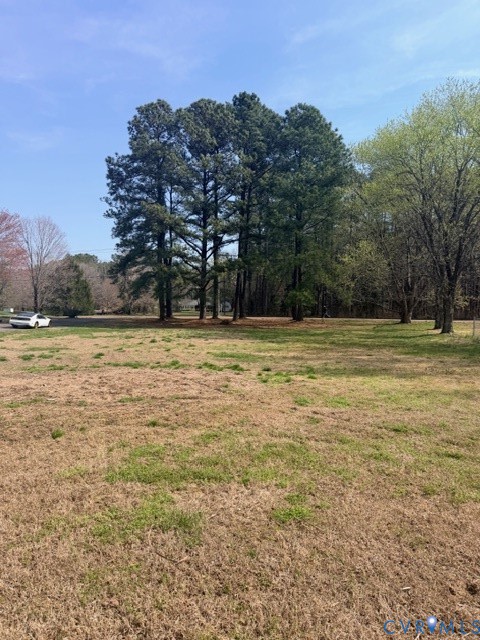 7387 Colts Neck Road Mechanicsville, VA 23111 - Photo 5 of 7 a view of a swimming pool and trees