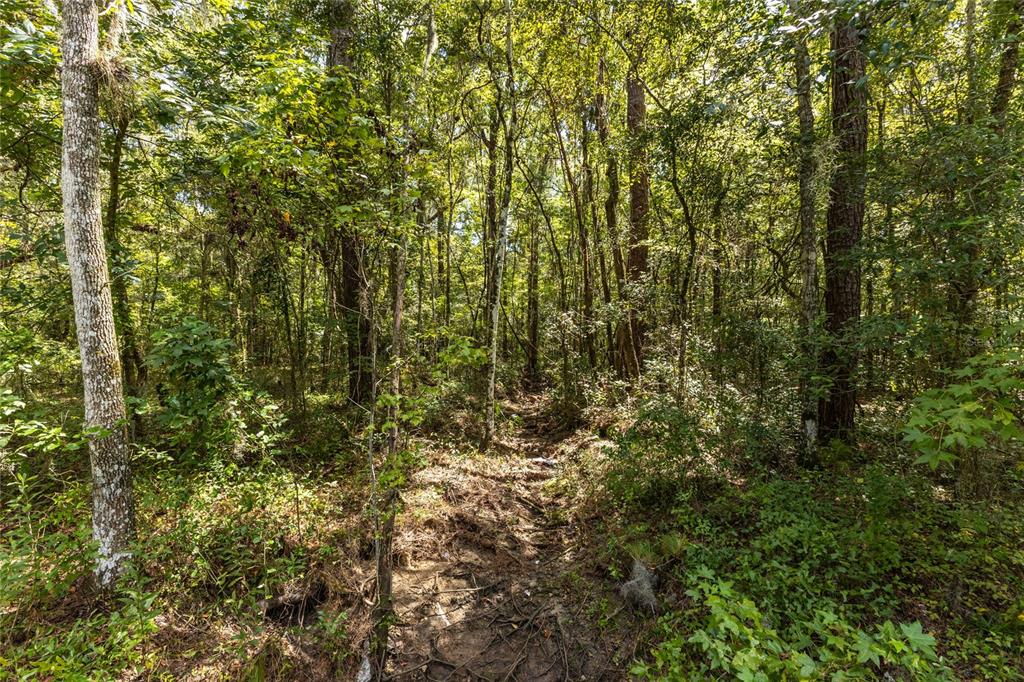 10971 Southwest 8th Avenue Gainesville, FL 32607 - Photo 13 of 17