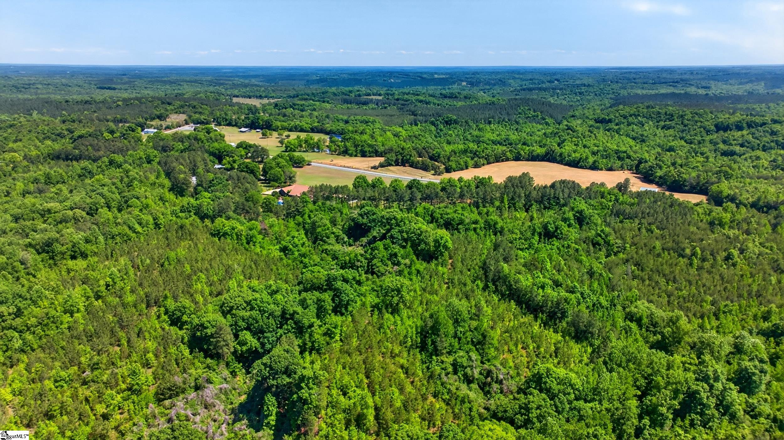 0 Gowdeysville Road, Unit LOT 1 Gaffney, SC 29340 - Photo 10 of 11