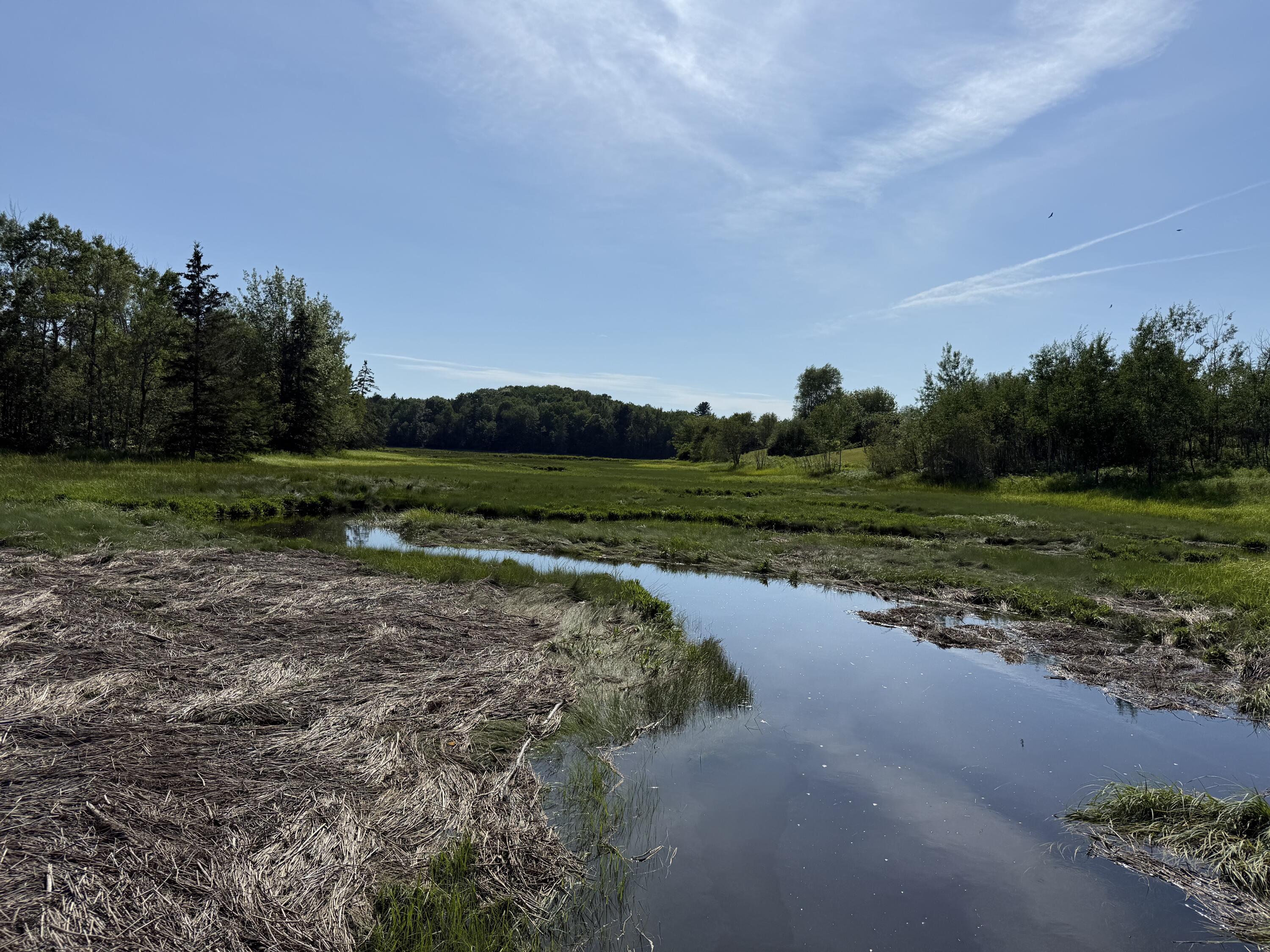 152 Kansas Road Milbridge, ME 04658 - Photo 16 of 33 View of brook