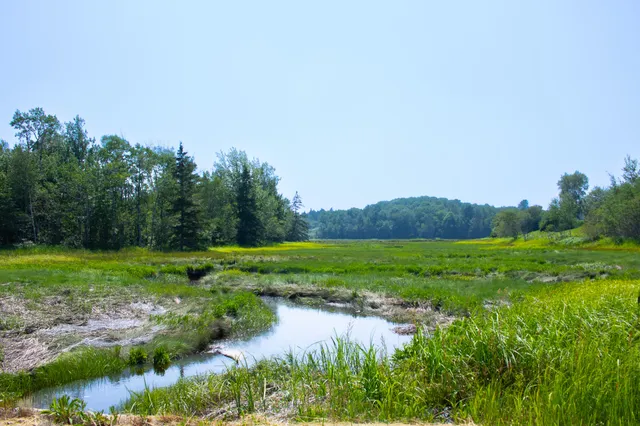 $124,000 | 152 Kansas Road, Milbridge, ME 04658