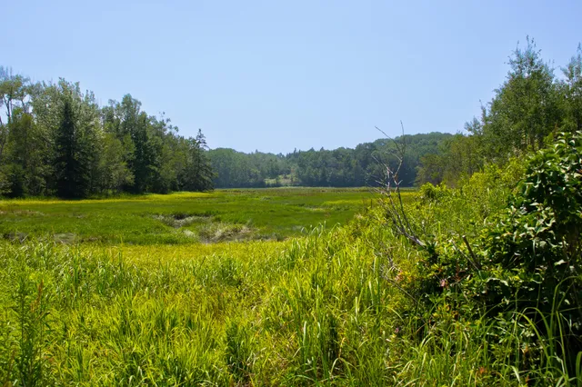 $124,000 | 152 Kansas Road, Milbridge, ME 04658