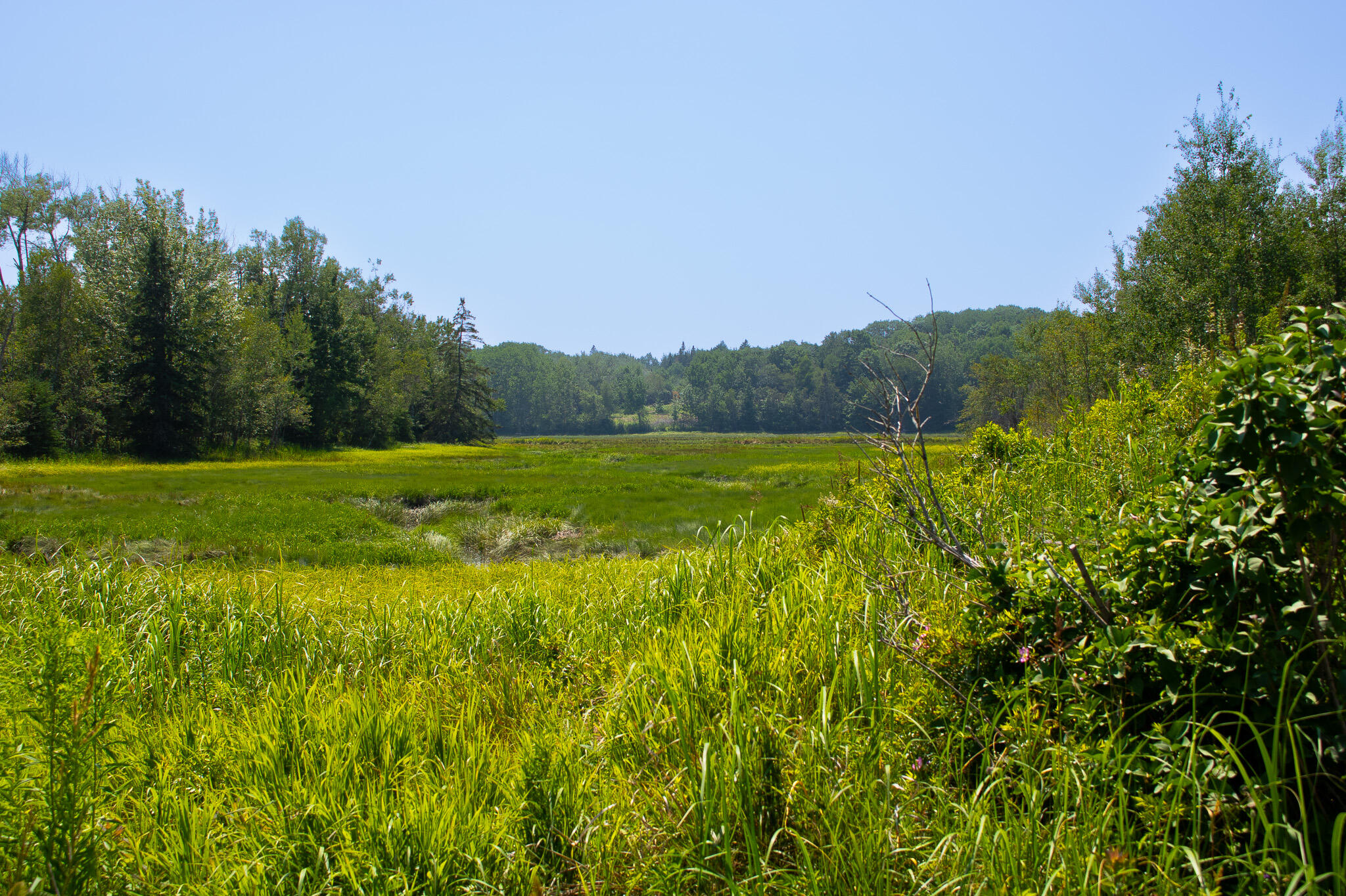 152 Kansas Road Milbridge, ME 04658 - Photo 30 of 33 Brook