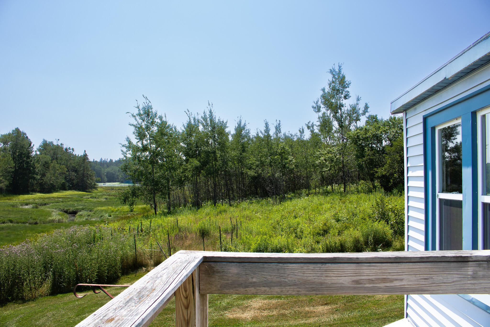 152 Kansas Road Milbridge, ME 04658 - Photo 6 of 33 View from porch