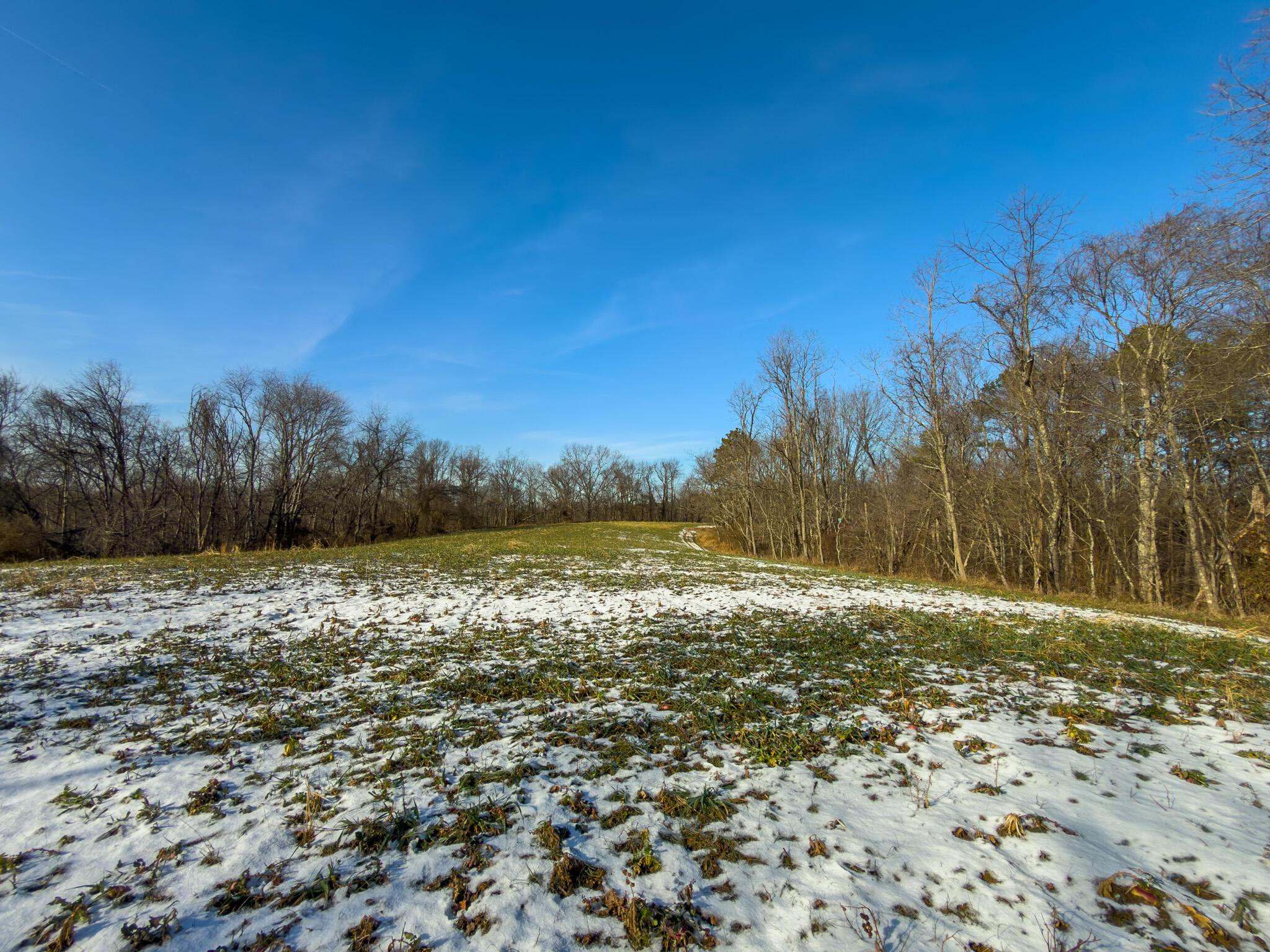 5230 Null Road Coolville, OH 45723 - Photo 27 of 54 Long fork rd.-63