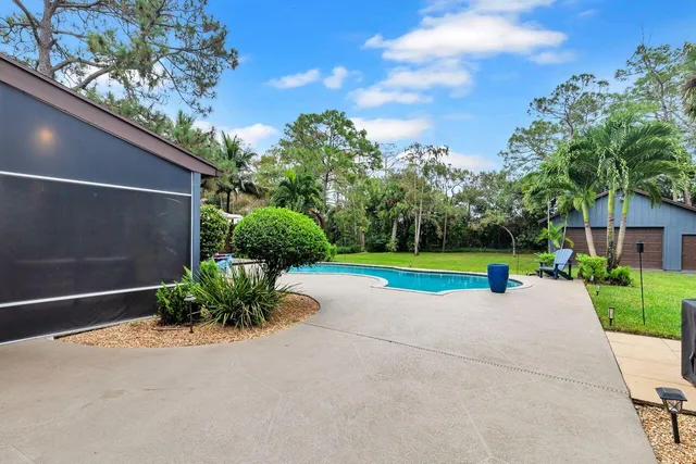 a view of a backyard with potted plants and a large tree