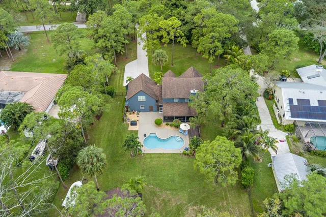 a view of a park with lots of trees