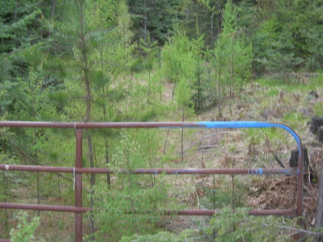 Nkn Conklin Meadows Road Newport, WA 99156 - Photo 1 of 6 Gallery Image 1