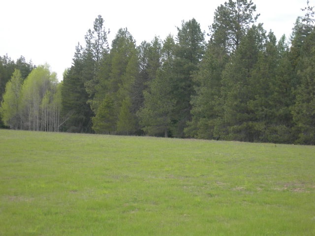 Nkn Conklin Meadows Road Newport, WA 99156 - Photo 2 of 6 Gallery Image 2