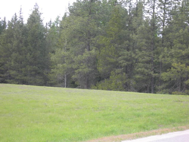 Nkn Conklin Meadows Road Newport, WA 99156 - Photo 3 of 6 Gallery Image 3