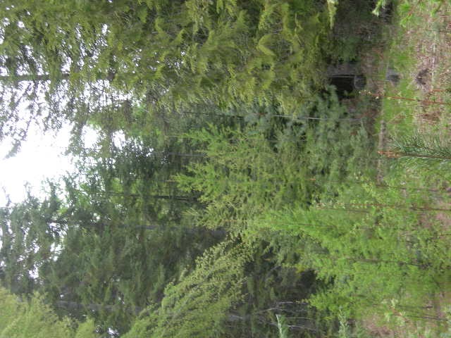 Nkn Conklin Meadows Road Newport, WA 99156 - Photo 4 of 6 Gallery Image 4