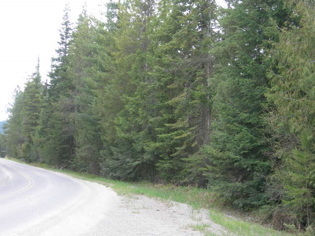 Nkn Conklin Meadows Road Newport, WA 99156 - Photo 5 of 6 Gallery Image 5