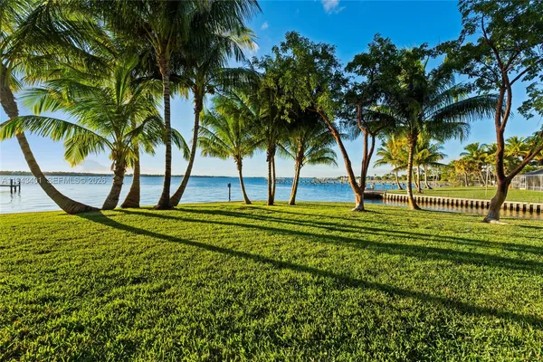 a view of a park with large trees