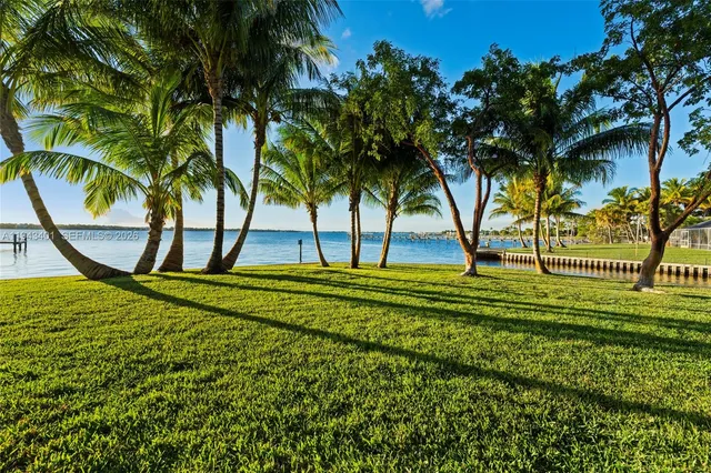 a view of a park with large trees