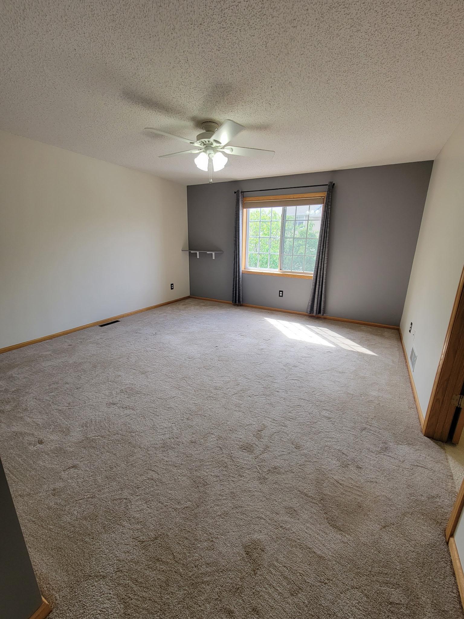 441 Pleasant Lane Chaska, MN 55318 - Photo 7 of 15