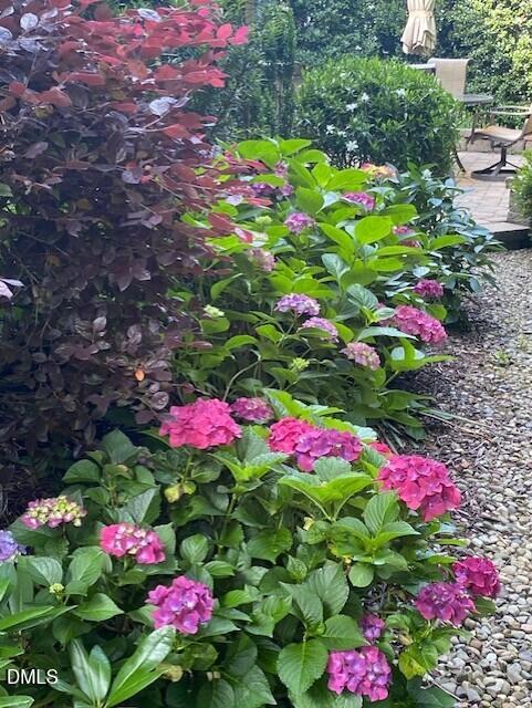 7804 Milltrace Run Raleigh, NC 27615 - Photo 26 of 28 Garden4