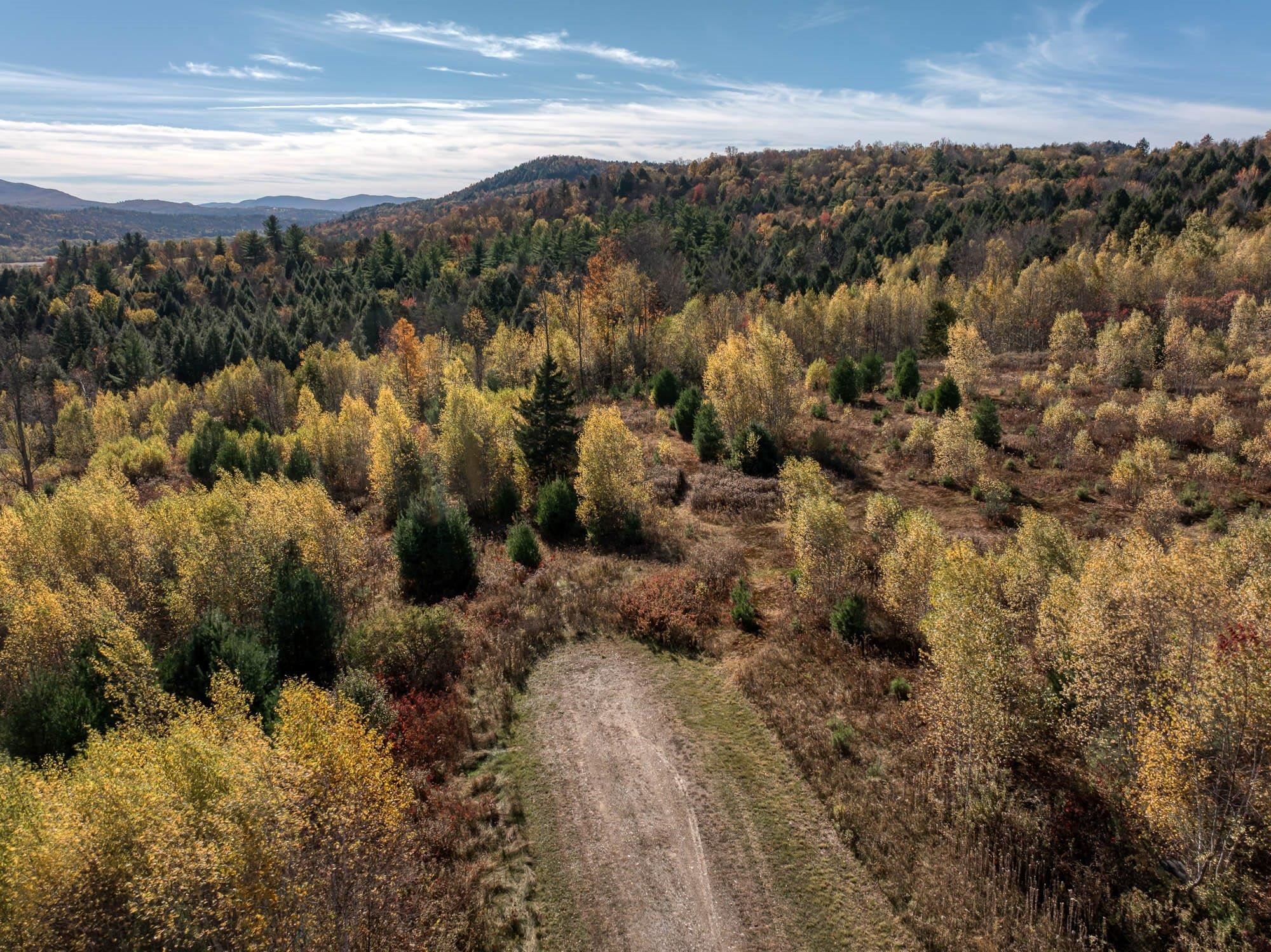 0 Birch Tree Lane, Unit LOT 3 Waterville, VT 05492 - Photo 4 of 5