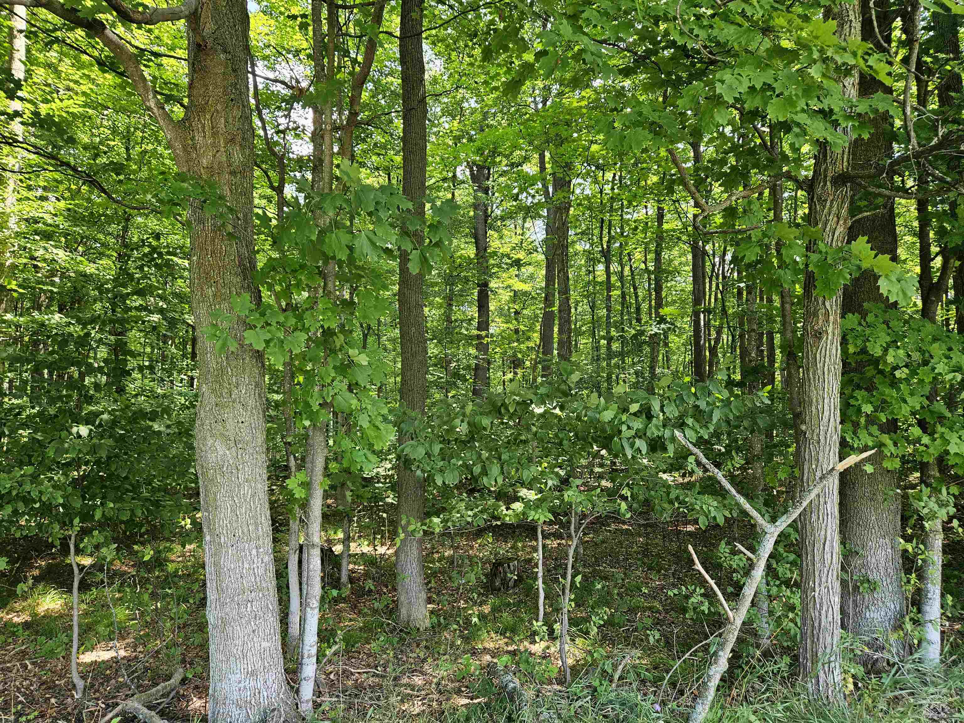 Tbd Tbd Willsey Road Traverse City, MI 49696 - Photo 18 of 22